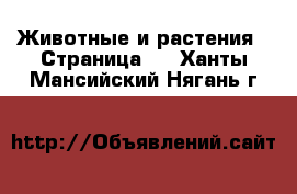  Животные и растения - Страница 2 . Ханты-Мансийский,Нягань г.